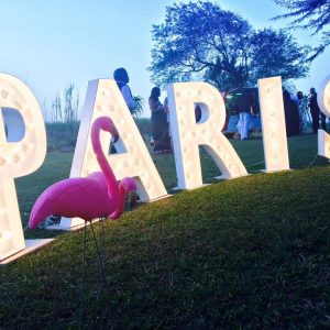 Event Styling A Parisian Affair wedding 5