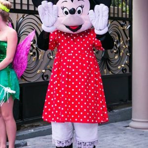 Event Styling Disney Flamboyance 1st Birthday Party 10