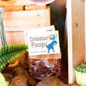 Event-Styling-Jurassic-World-017