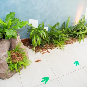 Event-Styling-Jurassic-World-030