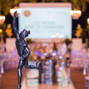 Event Styling Old Mutual Spirit of Comrades 2016 006